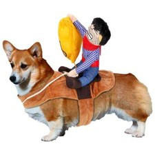 Halloween Funny Riding Horse