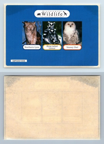 Discovering wildlife the - discovering,