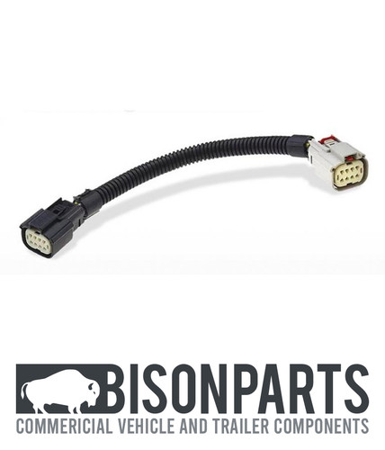 Rear tail lamp wiring - tail,