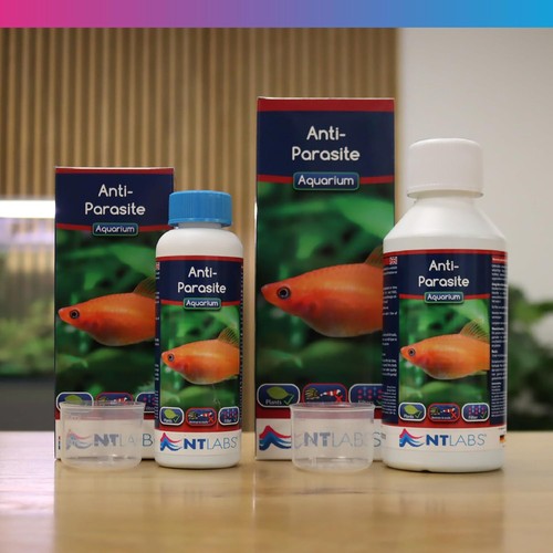 Labs aquarium anti parasite - aquarium, anti-parasite