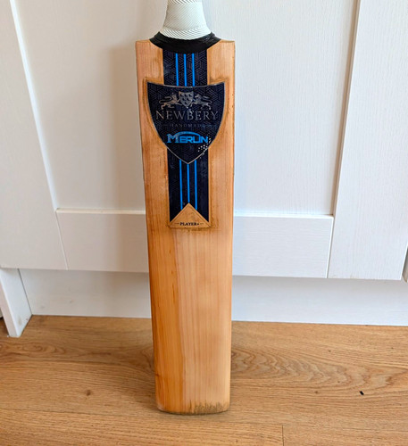 Newbery merlin player grade 1 - merlin,