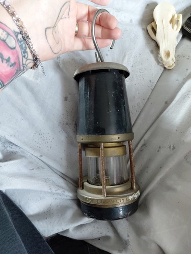 The wolf safety - the, lamp