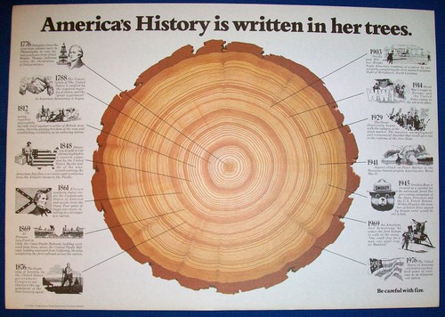 1776 1976 smokey bear - smokey, poster