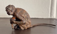 Antique Cold Painted Vienna Bronze Monkey with Banana Signed/Marked