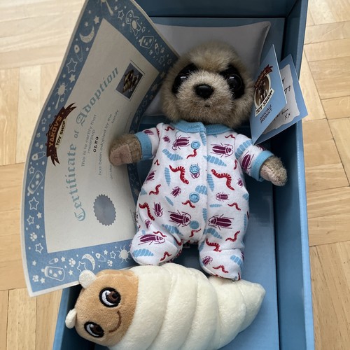 Compare the meerkat - meerkat, oleg