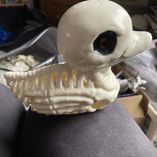 Plastic duck duckling skeleton - plastic,