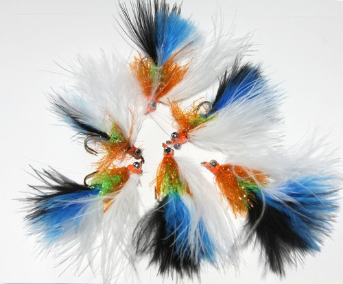 Cats whisker special bug - whisker,
