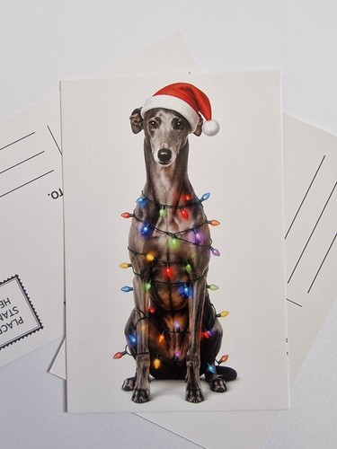 Blue greyhound whippet lurcher - whippet,