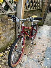 kids Raleigh bike 20 inch