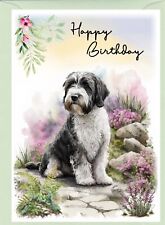 Tibetan Terrier Dog Birthday Card (6" x 4") with blank inside - by Starprint