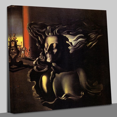 Salvador dali the dream - the,