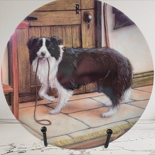Border collie collector plate - collie,