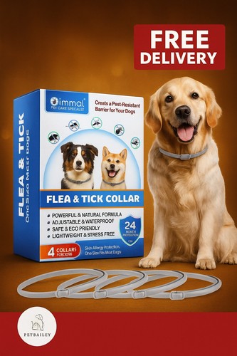 Dog flea collar treatment - dog,