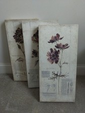 Set Of 3 Botanical Canvas Wall Art