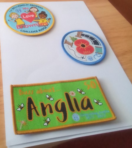 Girlguiding badges