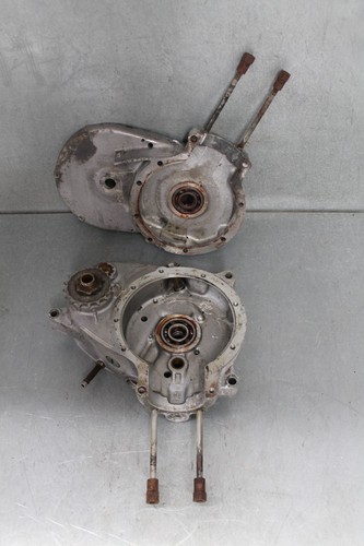Triumph tiger cub - tiger, left