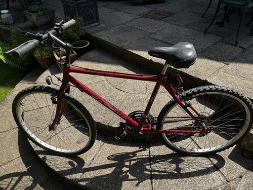 Woman mountain bike - woman’s,