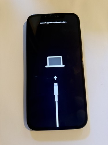 Apple iphone pro max not - apple,