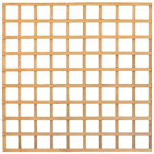 6ft x 6ft Square Lattice