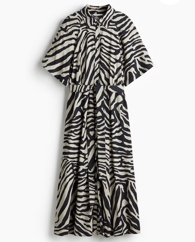 Zebra animal print - zebra,