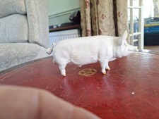Berwick Pottery  Boar CH Wall