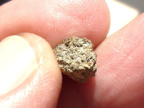 Martian meteorite shergottite - martian,