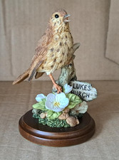 COUNTRY ARTISTS SONG THRUSH