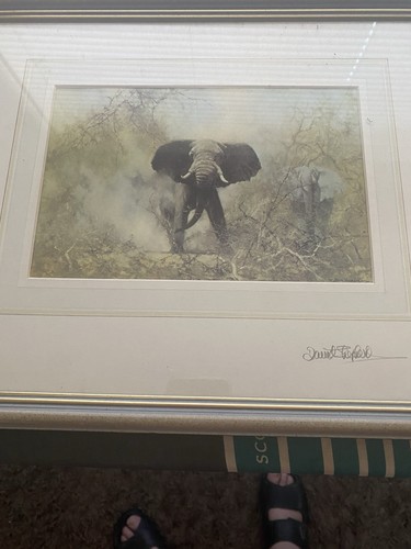 David shepherd signed elephant - david,