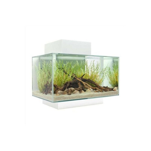 Fluval edge aquarium - aquarium, 23