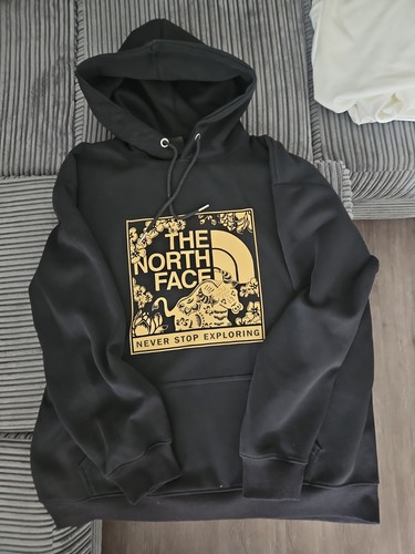 The north face hoodie - north,