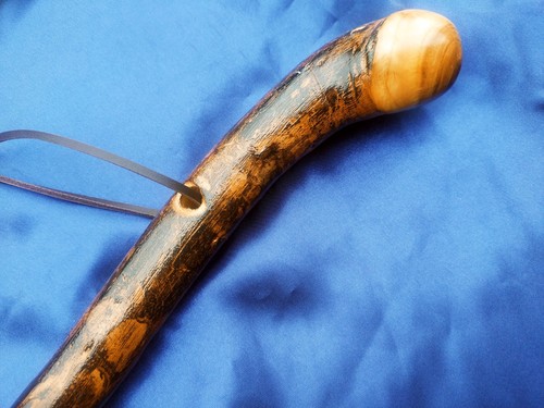 Quality new root - new, cane