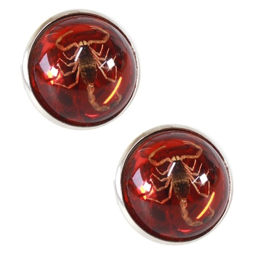 Round scorpion rings resin - round,