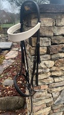 Headstall Bridle Gaited Horses