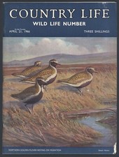 Country Life Apr 1966 SCOTTISH BIRD PAINTINGS Swinton Yorkshire ASSAM WILD LIFE