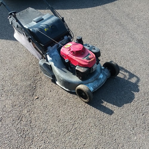 Honda hrd 536 qxe rear - qxe,