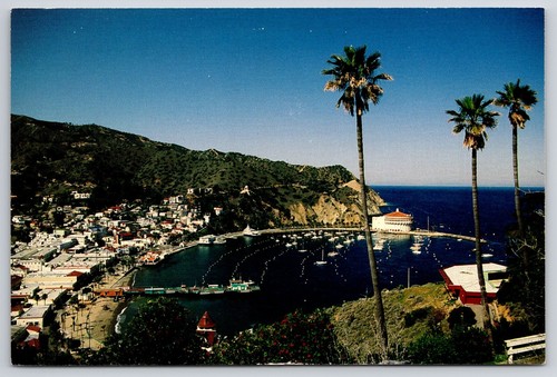 Birdseye view avalon bay - avalon,
