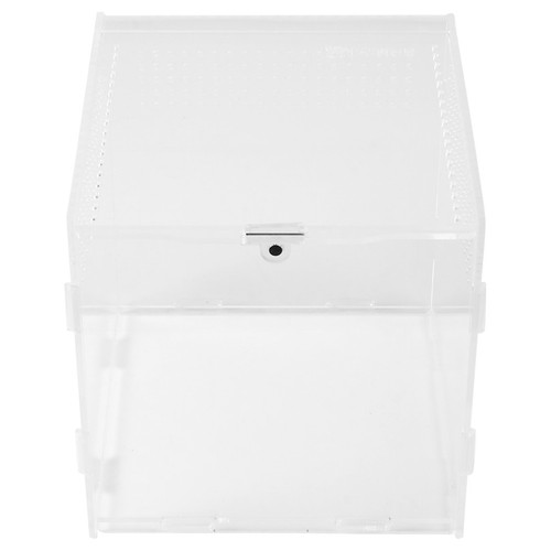 Spider box transparent - spider, pet