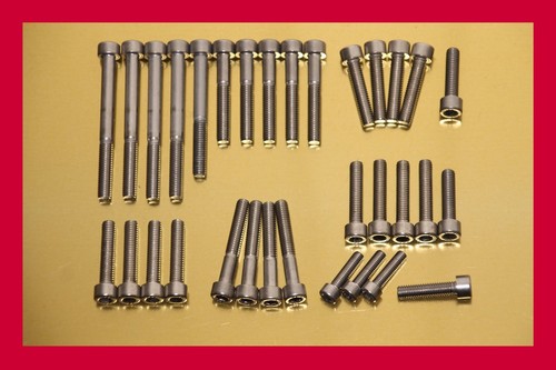 Engine bolts stainless steel - stainless,