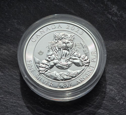 2023 canadian sabre - sabre, tooth