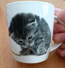 Cute Kitten Mug