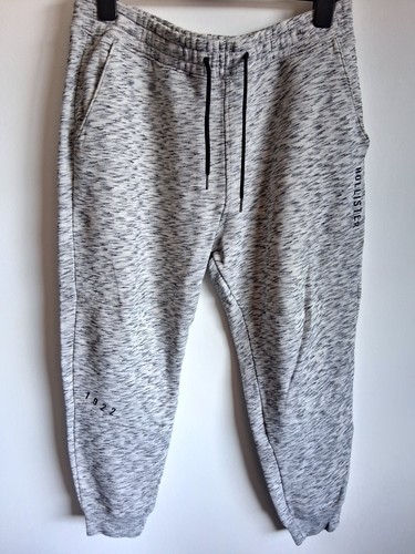 Hollister gray heather jogger