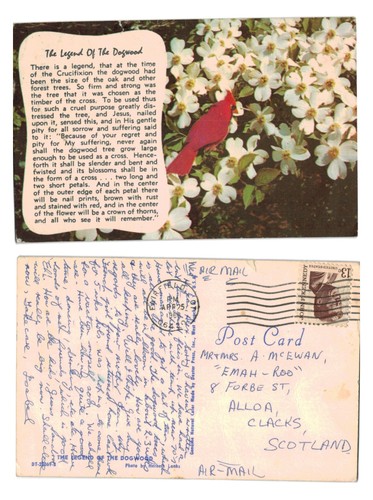 Vintage postcard legend of - vintage,