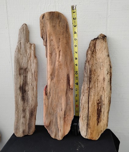 Lot driftwood flat 6 - lot, flat(ish)
