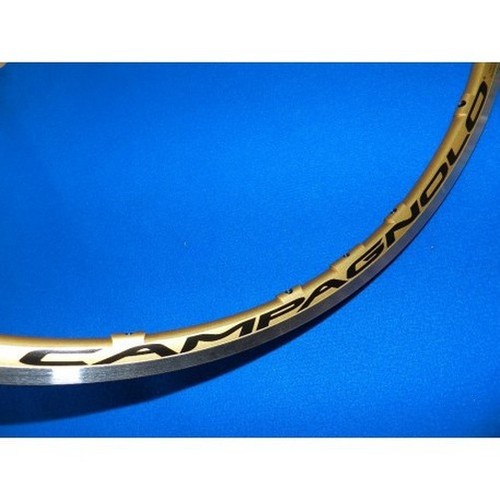Front wheel shamal - wheel,