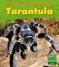 Tarantula (A Day in the Life: Rain For..., Anita Ganeri