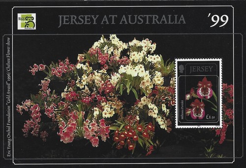 1999 jersey ms898 - jersey,