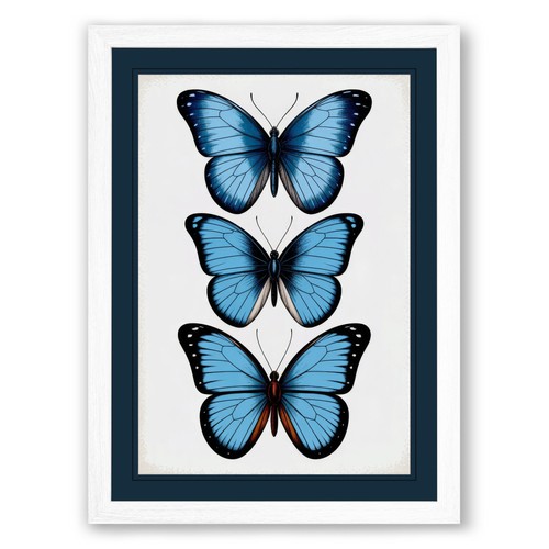 Butterflies blue botanical - in,