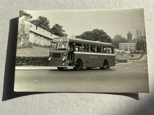 Bus photo station road - bus,