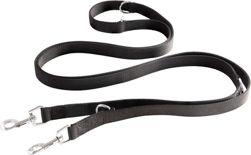 Dog training leash - dog,