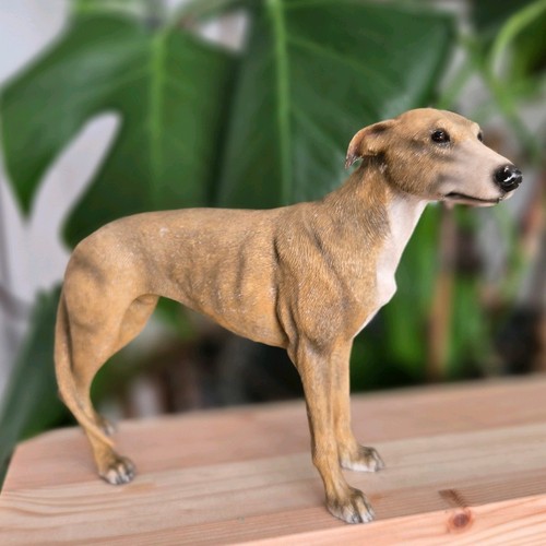 Leonardo collection whippet - leonardo,